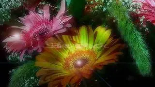 Long Time Sun ~Snatam Kaur~ In Memory of Elliot~