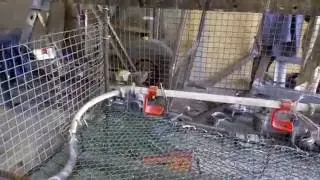 как сделать клеточку для цыплят и тд.