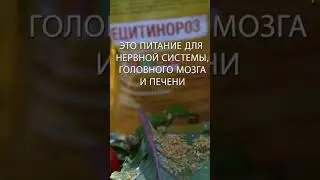 Что такое ЛЕЦИТИН?