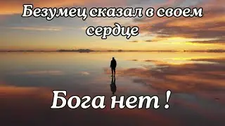Безумец сказал Бога нет.