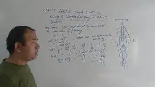 Effect of weight of movable pulley on efficiency