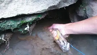 How many times have you failed at fishing, the big eel in the middle of the city finally got it