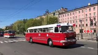 ТранспортФест 2024. Автобусы