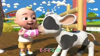 cartoons for kids cocomelon with friends @cando696