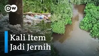 Bagaimana Mereanimasi Sungai Mpanga yang Sekarat?