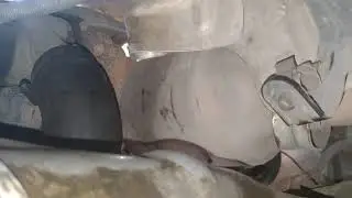что за хрень?