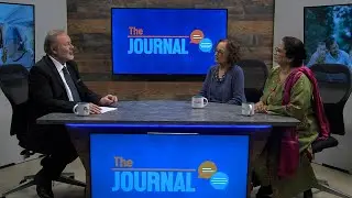 The Journal - Immigration Issues
