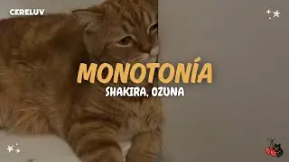 Shakira, Ozuna - Monotonía (Letra)