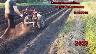 Самодельные ЕЖИ для мотоблока из дисков сошника сеялки! Обработка картофеля Ежами, Сезон 2023