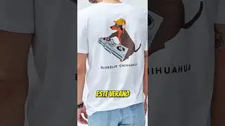 Rebajas BlueBlue Chihuahua