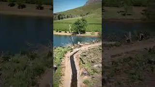 🚵‍♂️ Majestic MTB Trail by drone 🛸 #shorts
