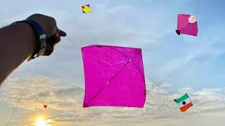 Kite Looting | Kite Looting On Roof | Kite Catching | Kite