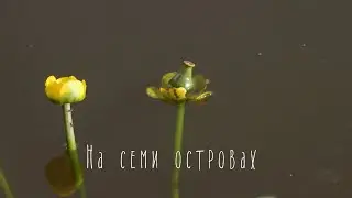 «На семи островах». Музеи города  Вышний Волочек