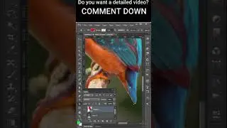 Photoshop Shorts : Pen Tool
