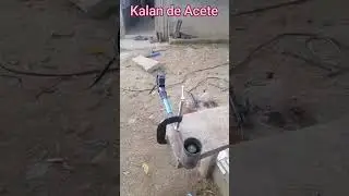 Kalan de Acete