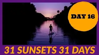 Mike paddles down a river full of 🐢🐢 on Day 16 of 31 Sunsets