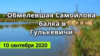 Обмелевшая река Самойлова Балка в Гулькевичи Засуха на Кубани  10 сентября 2020