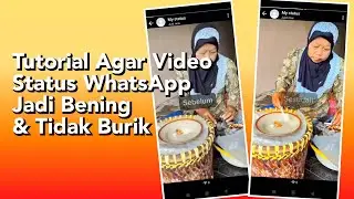 Tutorial cara update status whatsapp video bening tidak burik dan HD