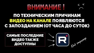 Кот-пират. Ну почти...