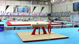 POPOV NOGEIRA Christopher (BUL) - 2023 Artistic Junior Worlds - Qualifications Pommel Horse