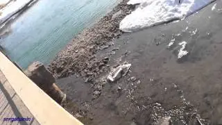 RUBBISH IN THE RIVER. Topic - River PIANA. Yanovo-Sergach