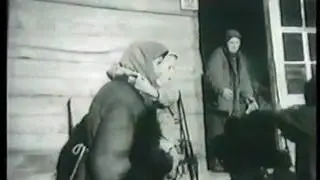 Военные документалисты