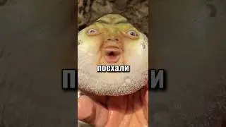 как создать сайт не умея кодить 