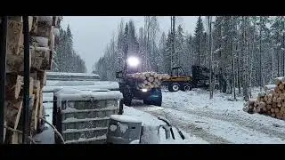 Опытно-промышленного испытания болотоходного подборщика Тром 20