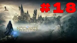 Hogwarts Legacy Playthrough Part 18- Keeper Trial #3- Niamh Fitzgerald's Trial