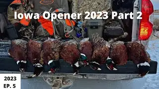 Iowa Pheasant Hunting Opener P2 EP. 5