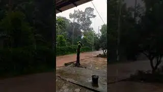 Hujan Lebat Disertai Banjir