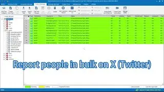How to report people in bulk on X (Twitter) via TweetAttacksPro
