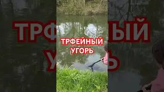 Рыбалка на Трофейных Угрей. Рыбалка в Германии с Иванычем
