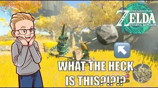 The Legend Of Zelda: Tears of the Kingdom Gameplay Reaction