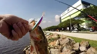 Hit and Miss with bonus TIP