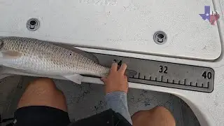 Catching Redfish | Trout Limits | Ultimate Inshore Fishing Adventure
