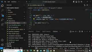 Environment Variables In Node and Express