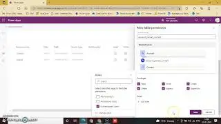 Lesson343-Power Apps Portal-Work With Settings Table Permission -Power Apps 1000 Videos