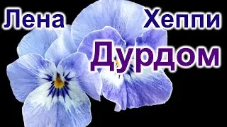 Лена Хеппи. Дурдом на выезде