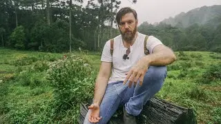 pense o triplo, aja o dobro e só fale a metade.