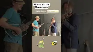 Flight of the Bumblebee - Guitar & Violin Duel 🎸🎻