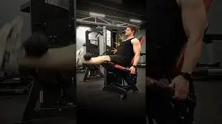 Квадріцепси. Як тренувати