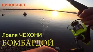 ПЕРВАЯ ЧЕХОНЬ ПОШЛА! ЛОВЛЯ НА БОМБАРДУ НА КАМЕ 
