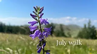 JULY WALK | Cinematic