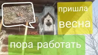 Spring is Here! Uncovering the Surprising Consequences of Spring Cleaning...ПРИШЛА ВЕСНА