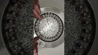 Magnetic Vibrations in Water  #satisfying #magnetism #magnettricks