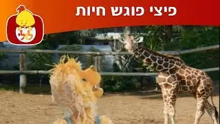 פיצי פוגש חיות: ג'ירפה וגמל- ערוץ לולי