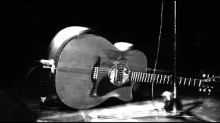 Damien Rice - Wild and Free