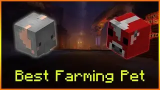Hypixel Skyblock - BEST Farming Pet!?