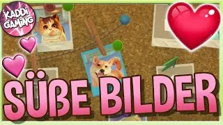 Erinnerungsfotos 🐈 Pet Clinic #4 [FACECAM]